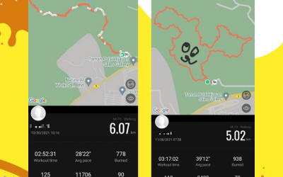 Tips for Virtual Running